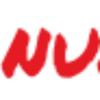 Nunsu Automotive Logo