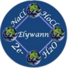 Elywann Logotype