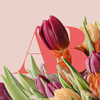Agnes Blumenlädchen Logo
