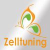 zelltuning.com Logotype