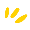 Solskyddsshoppen Logotipo