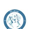 Hamar Hundeskole Logotyp