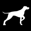 DK9 Hundsport Logotyp
