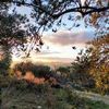 Le Roumégaïre - Huile d'Olive Vierge Extra de France Logó