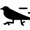 Team Bird Training Logó