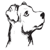 Dogroots Logó