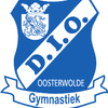 D.I.O. Gymnastiek Logotype