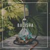Balisha Logotype
