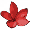 Plumeria.Shop Logo