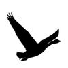 Sander de Gans Logotyp