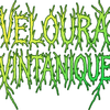 velouravintanique.com Logotyp