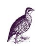 The Partridge Retreat Logotype