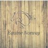 equinenorway.no Logó