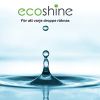 Ecoshine Logotipo