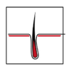 Haarkliniek Istanbul Logotyp