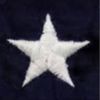 Team Honor Logotype