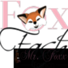 Mr. Foxx Fashion Logo