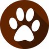 Doggie Education Logotipo