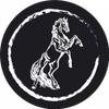 Southern Blaze Wines Logotype