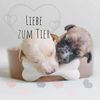 LIEBE-ZUM-TIER Logotip
