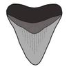 CODE BLACK FOSSILS Logotyp