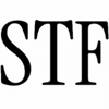 SHE TIES FLIES Logotype