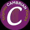Cambrian Harps Logó