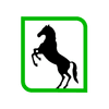 Mustang Safes Logotype