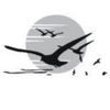 First Light InSite Logotype