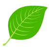 No-Brainer Planter Logotype