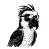 Fun4Parrots Logotipo