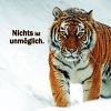 Motivation-In-Dir Logotip