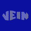 Vein - Sneakers Store Logotipo