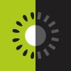 TOKENIZED KIWI Logotype