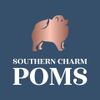 Southern Charm Poms Logotype