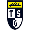 TSG Balingen Fussball e.V. Logó
