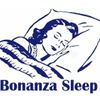 Bonanza Seep Logotype