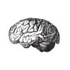 Mental Health Keto Logotyp