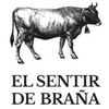 El Sentir de Braña Logotype
