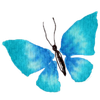 janetcrosby.com Logotype
