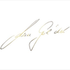 Ann Gol'dor Logotype