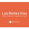 Les Belles Vies - Meubles vintage scandinaves Logotype