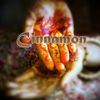 Cinnamon Stapleford Logotipo