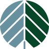 Behind the Pines Logotype