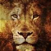 Mufasa's Pride Rites of Passage Logotyyppi