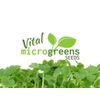 Vital Microgreens SEEDS Logotype
