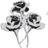 Business Flower Logotype