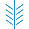 Centre Mimosa Logotype