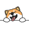 Le Shiba Inu | Tout savoir sur les shibas ! Logó