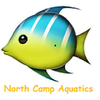 North Camp Aquatics Logotype